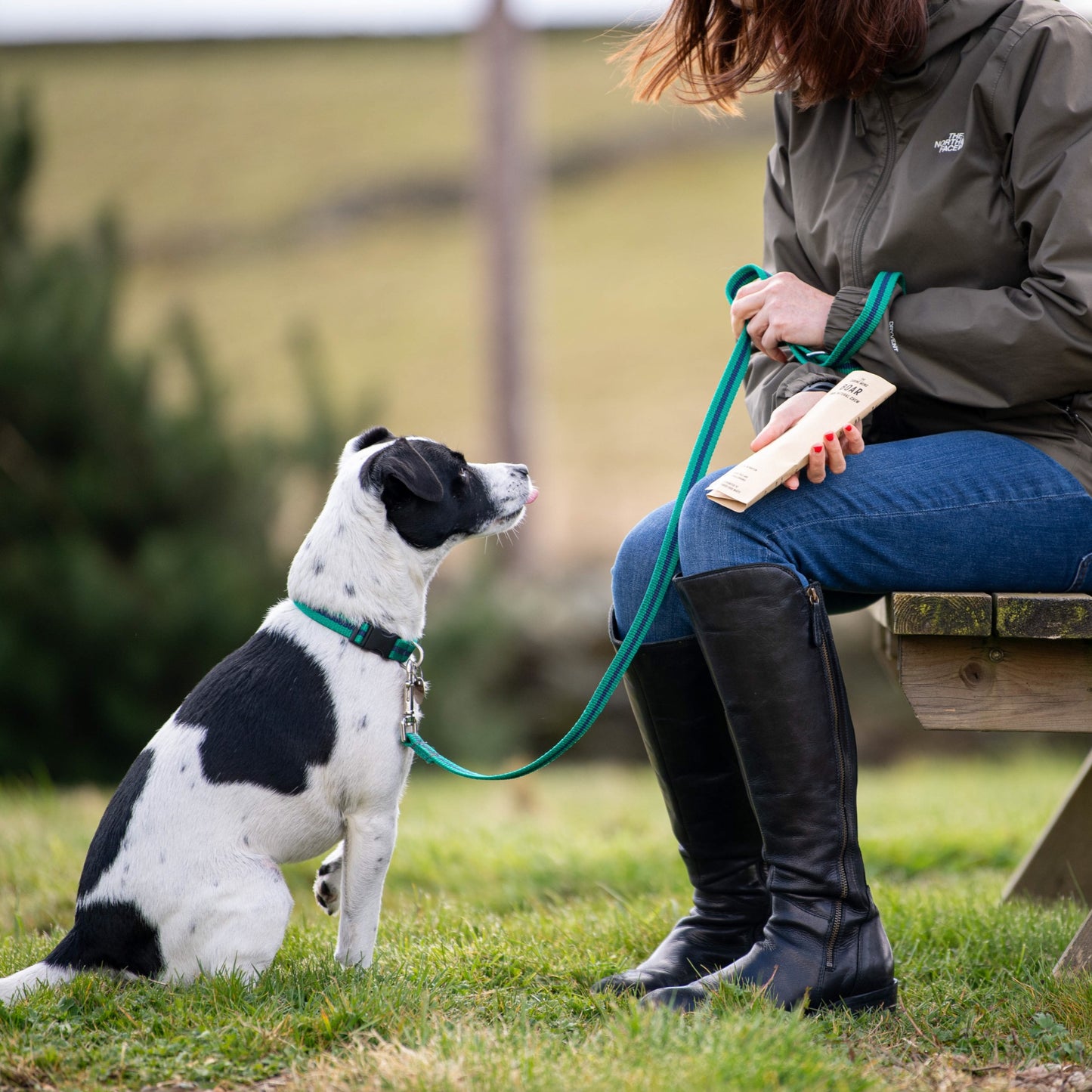 Boar Dog Chews (25 units) image 4