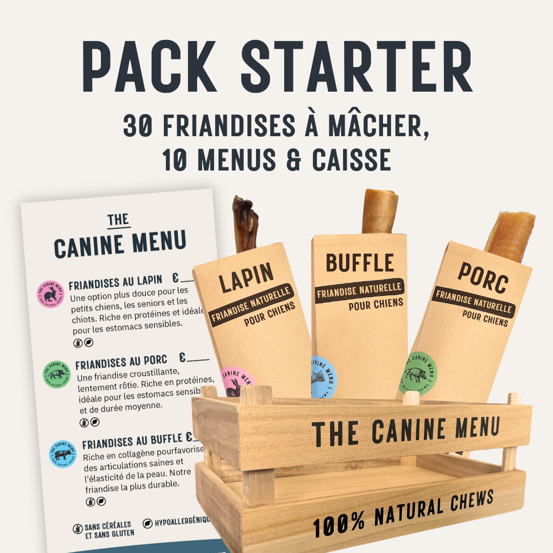 Pack Starter (30 friandises à mâcher & caisse)